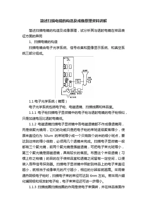 简述扫描电镜的构造及成像原理资料讲解