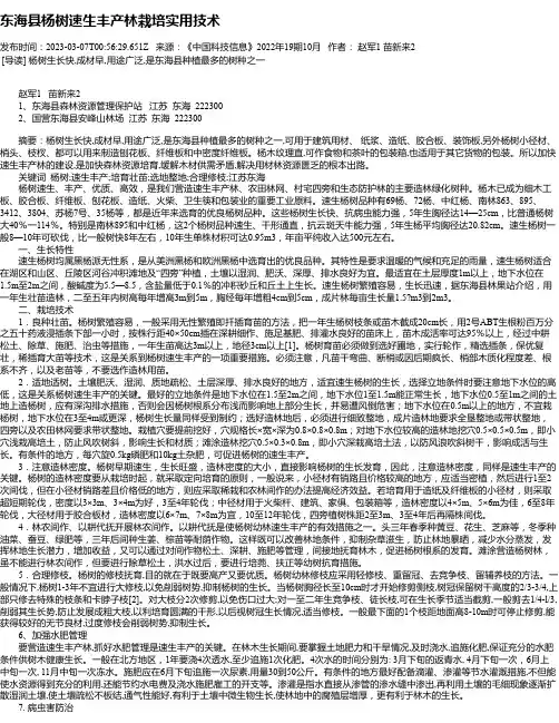 东海县杨树速生丰产林栽培实用技术