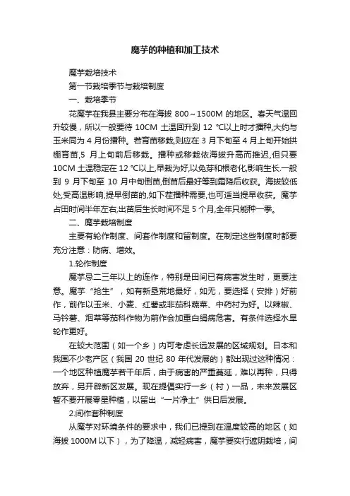 魔芋的种植和加工技术