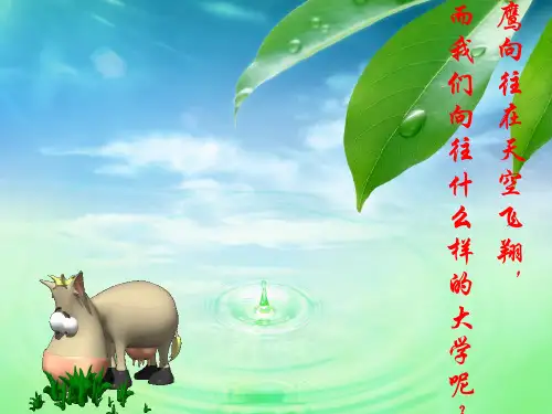 中国政法大学