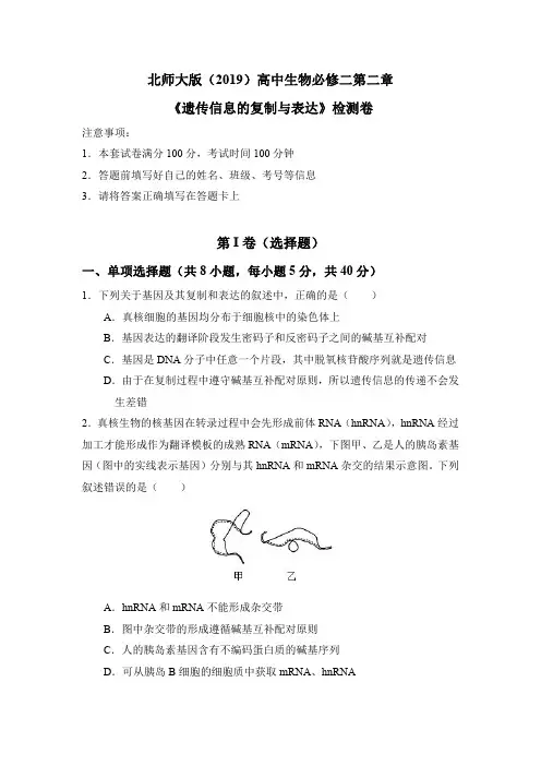北师大版(2019)高中生物必修二第二章《遗传信息的复制与表达》检测卷(含答案)