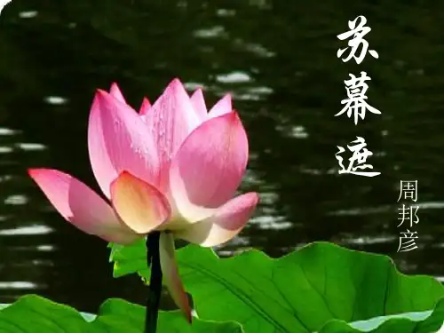 苏教版高中语文唐诗宋词选读 苏幕遮(燎沉香)》(一等奖课件) (2)