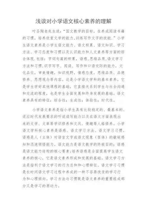 浅谈对小学语文核心素养的理解