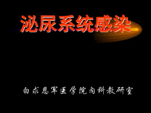 泌尿系感染