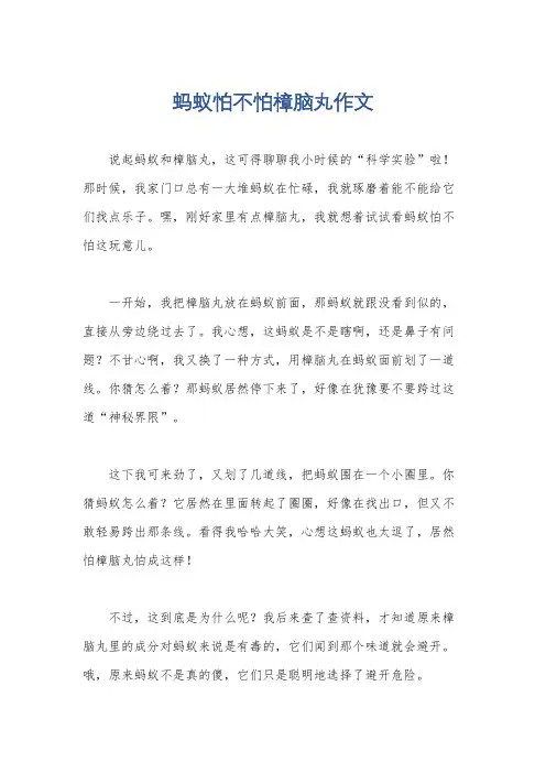 蚂蚁怕不怕樟脑丸作文