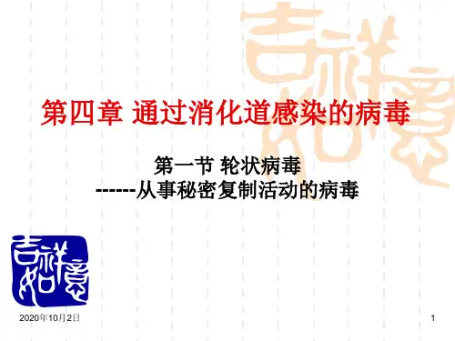 轮状病毒ppt-医学微生物学PPT课件