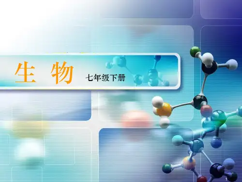 《人体和外界环境的气体交换》精PPT课件