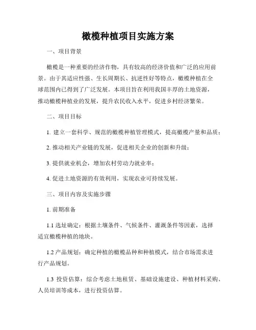 橄榄种植项目实施方案