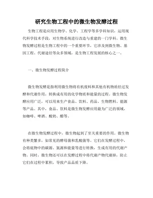 研究生物工程中的微生物发酵过程
