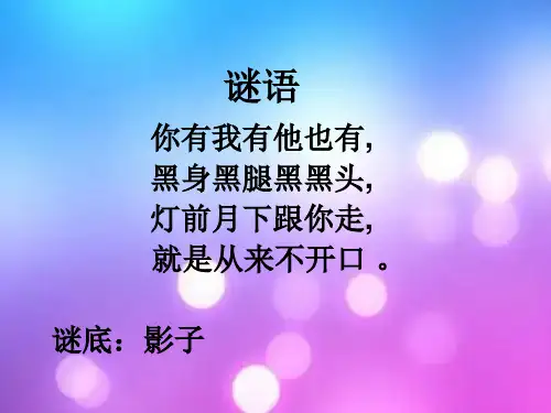湘美版影子大王中小学PPT教学课件