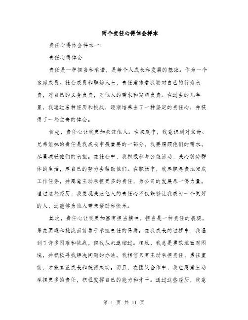 两个责任心得体会样本(4篇)