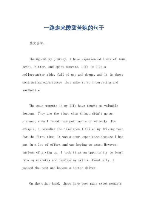 一路走来酸甜苦辣的句子