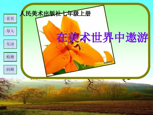 在美术世界中遨游 课件