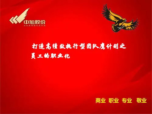 员工的职业化培训.pptx
