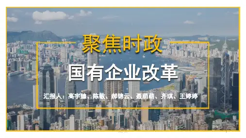 归纳国企改革PPT.ppt