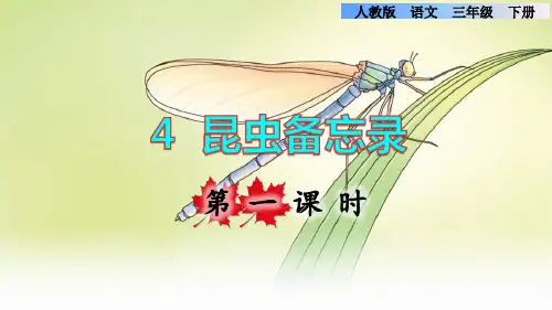 人教版三年级语文下册第一单元第4课《昆虫备忘录》课件
