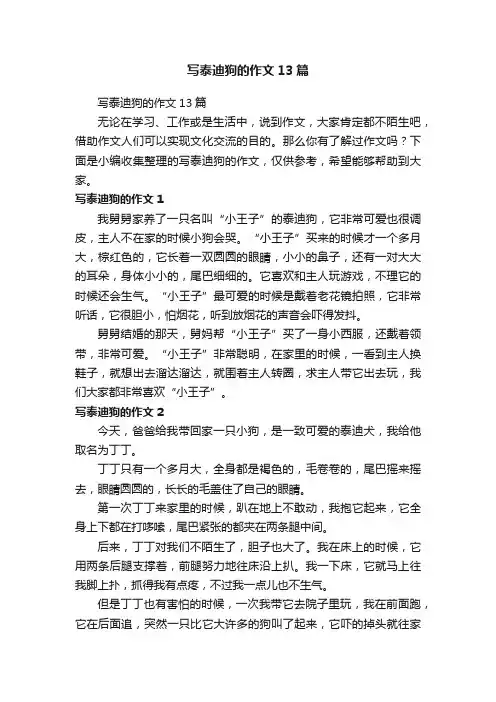 写泰迪狗的作文13篇
