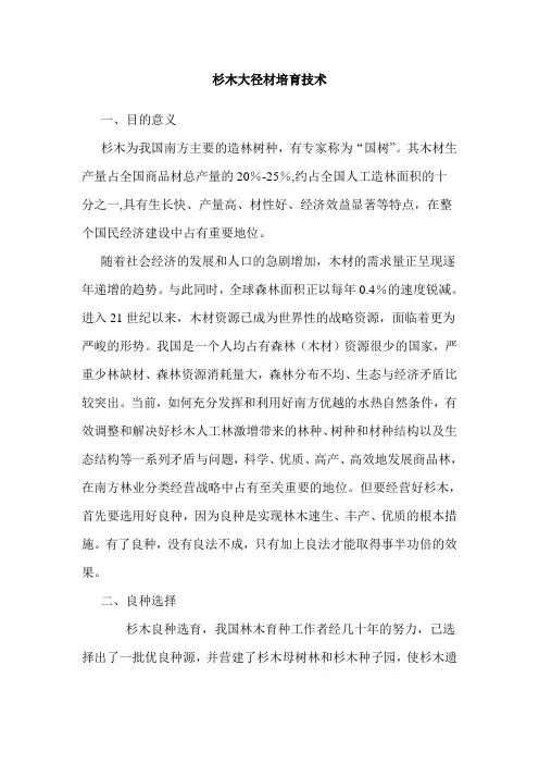 杉木大径材培育技术
