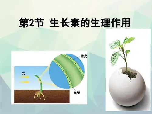 人教版高中生物必修3第3章第2节生长素的生理作用(共58张PPT)