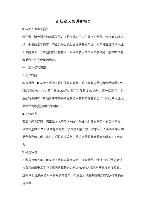 it从业人员调查报告