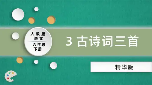 人教部编版语文六年级下册 3古诗三首之《寒食》(精华版)