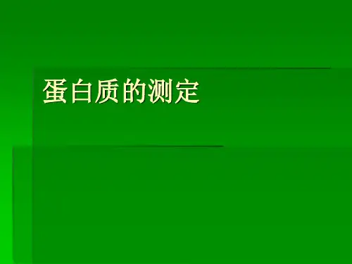 蛋白质的测定PPT课件