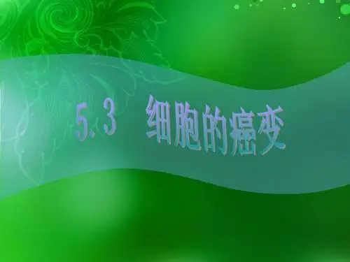 《细胞的癌变》课件