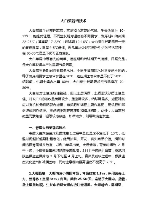大白菜栽培技术