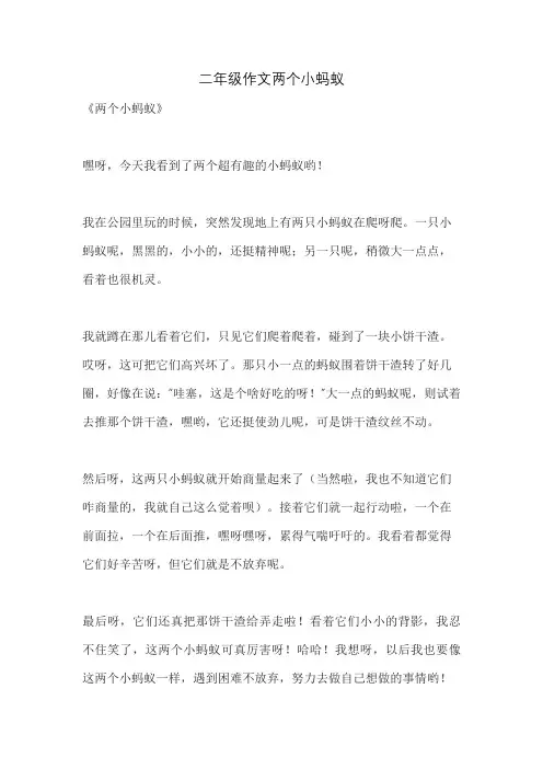 二年级作文两个小蚂蚁