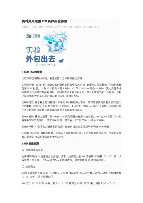 实时荧光定量步骤