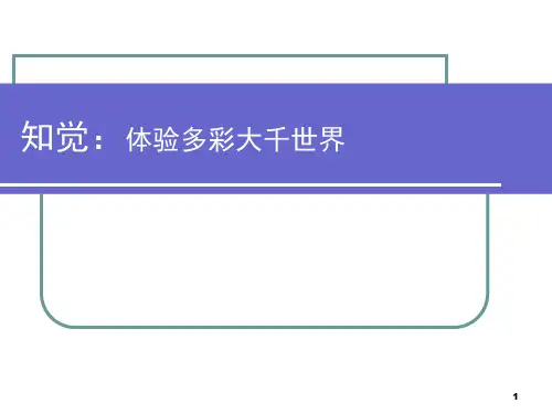知觉的特性PPT优秀课件