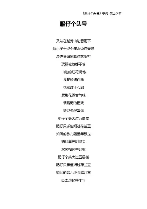 《服仔个头号》歌词 东山少爷
