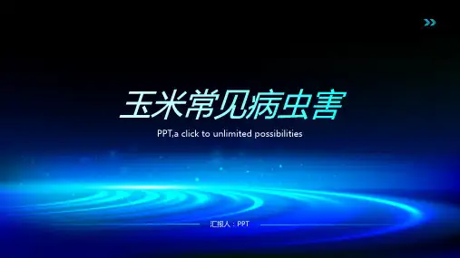 《玉米常见病虫害》课件