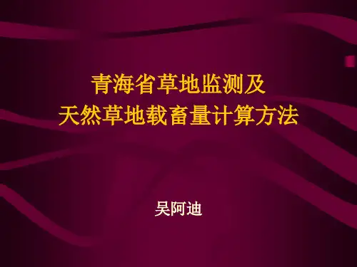 草地监测技术及载畜量计算方法