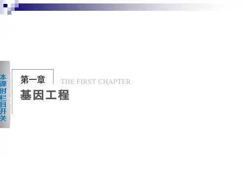 1.1基因工程的诞生、发展和工具 同步课件(苏教版选修3)