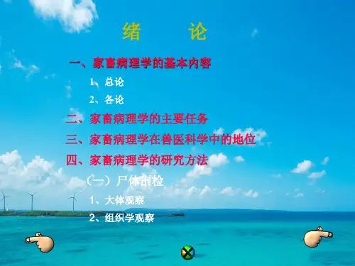 家畜病理学PPT教学课件
