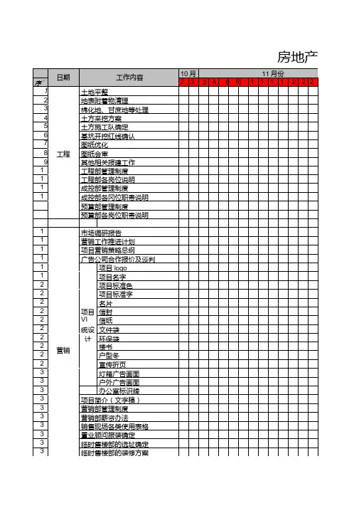 项目工作推进表.doc
