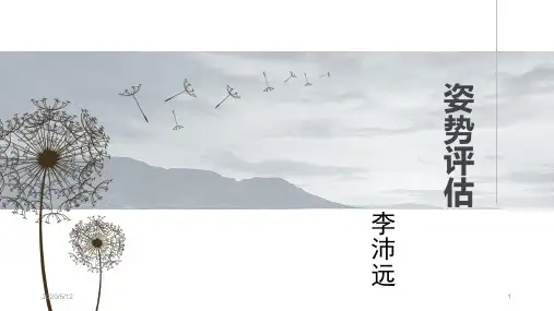 姿势评估 PPT课件