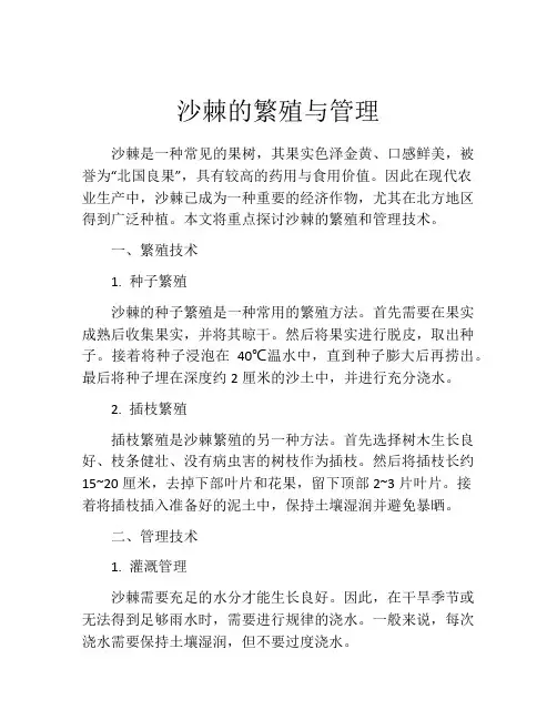 沙棘的繁殖与管理