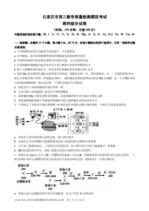 河北省石家庄市第二中学(石家庄市)2020届高三下学期教学质量检测理科综合试题及参考答案