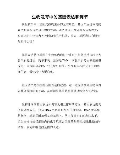 生物发育中的基因表达和调节