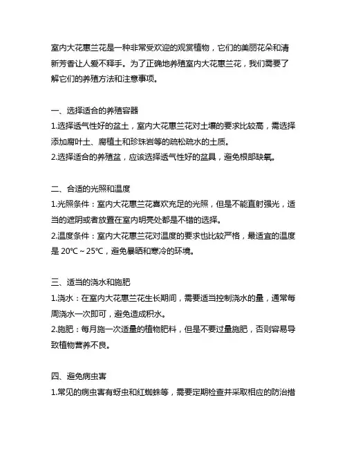 室内大花惠兰花的养殖方法和注意事项