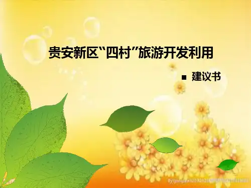 乡村旅游项目策划-PPT