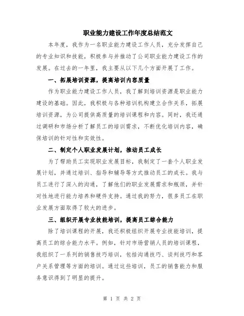 职业能力建设工作年度总结范文