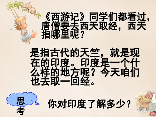 人教版《印度》ppt2