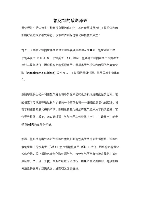 氰化钾的致命原理