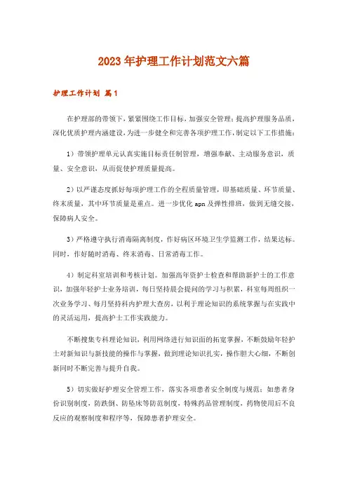 2023年护理工作计划范文六篇