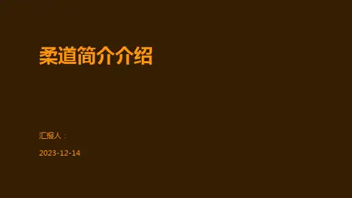 柔道简介介绍