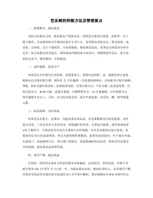 芭乐树的种植方法及管理要点