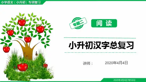 小学毕业考试(小升初)语文总复习汉字复习